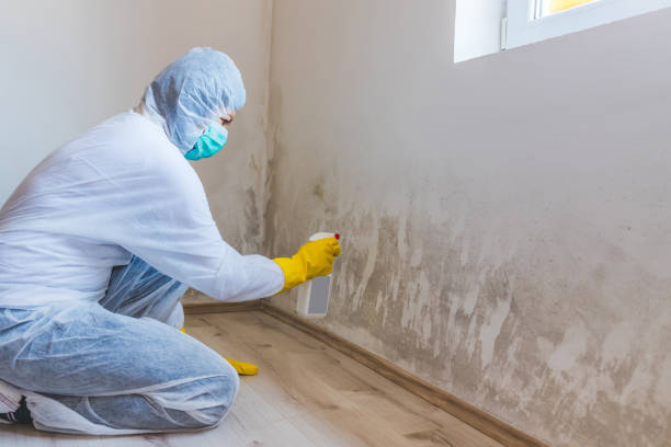 Bathroom Mold Removal assessment in Ludington bathroom