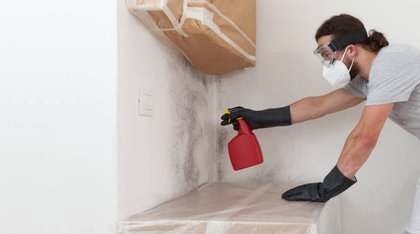 Attic Mold Remediation treatment on roof deck in Ludington
